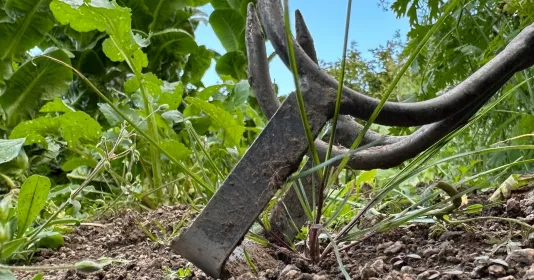 Kultivátor combi DeWit Náhled