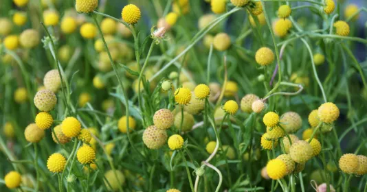 shutterstock2336008775.jpg Thumbnail