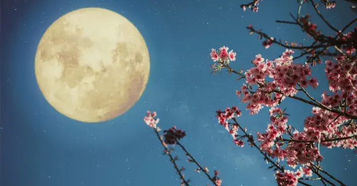 Měsíc v úplňku Měsíc v úplňku