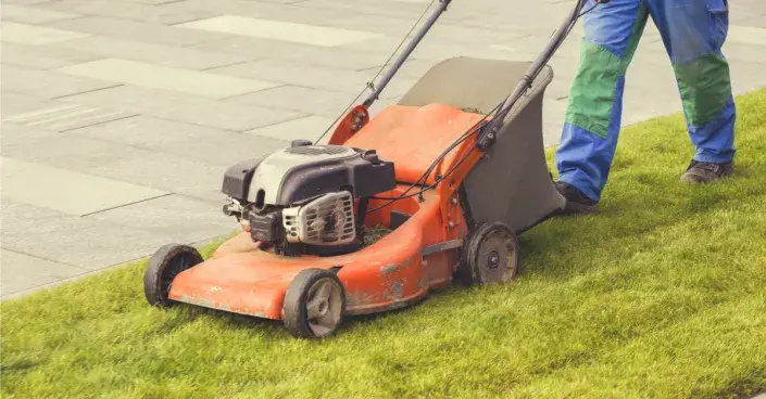 Vertikutátor v akci Vertikutátor v akci