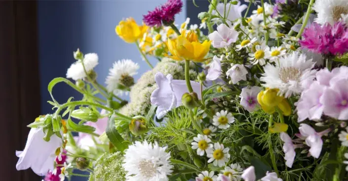 Kytice lučních květů Kytice lučních květů