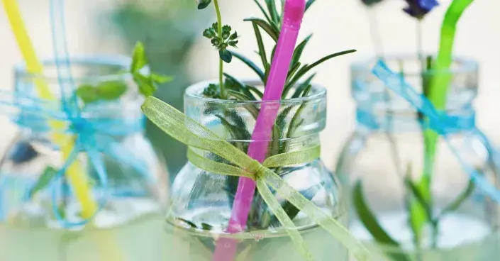 Domácí bylinkové limonády Domácí bylinkové limonády