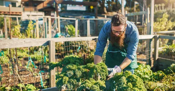 Práce v komunitní zahradě Práce v komunitní zahradě