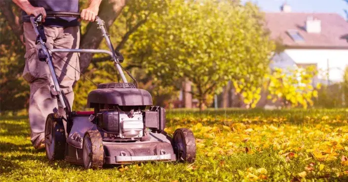 Sekačka na podzimním trávníku Sekačka na podzimním trávníku