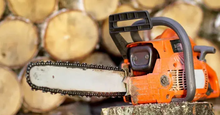 Motorová pila a nařezané dřevo Motorová pila a nařezané dřevo