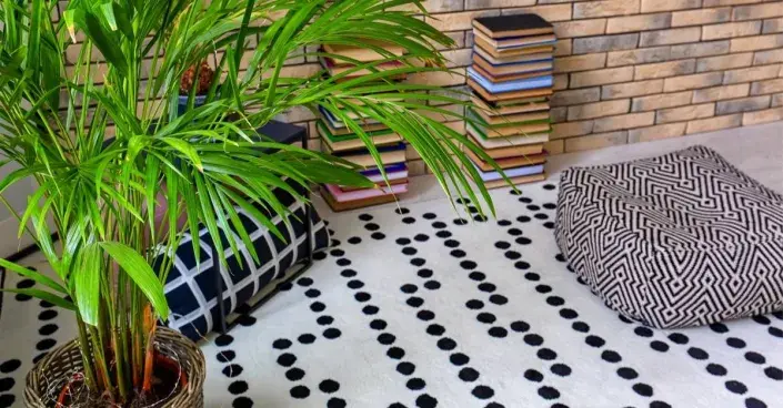 Areková palma v pokoji Areková palma v pokoji