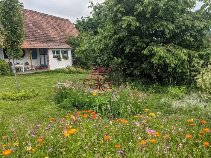 Zahrada U konipáska Zahrada U konipáska chalupa