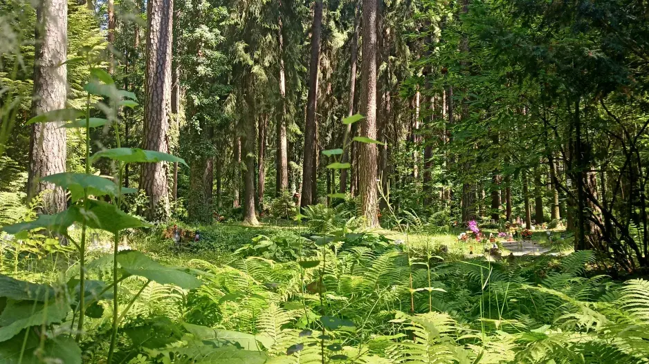 Lesní hřbitov Podrost kapradin