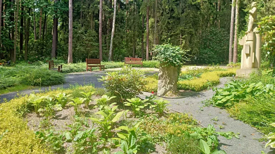 Lesní hřbitov boční vstup Lesní hřbitov