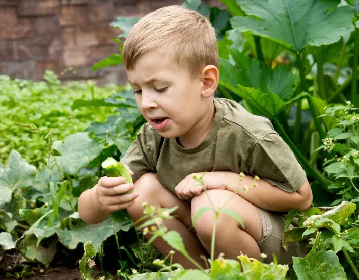 Kluk v záhonu jí okurku Kluk v záhonu jí okurku