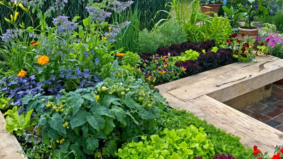 Přírodní zahrada Přírodní zahrada