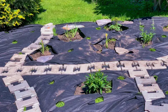 Mulčovací fólie Mulčovací fólie