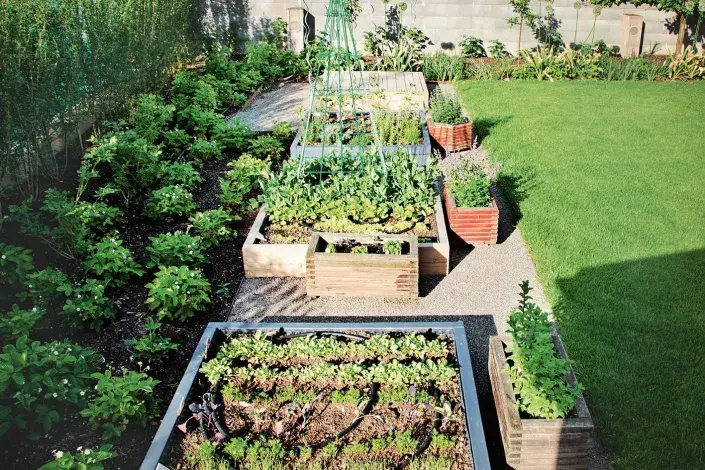 Vyvýšené záhony Vyvýšené záhony