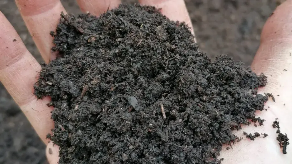 Jaká je půda v naší zahradě? Jakou máme na zahradě půdu, zjistíme jednoduchým testem..