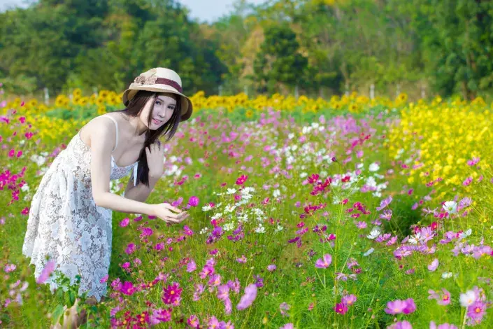 Kouzelné letničky, které milujeme my i užitečný hmyz Kouzelné letničky, které milujeme my i užitečný hmyz