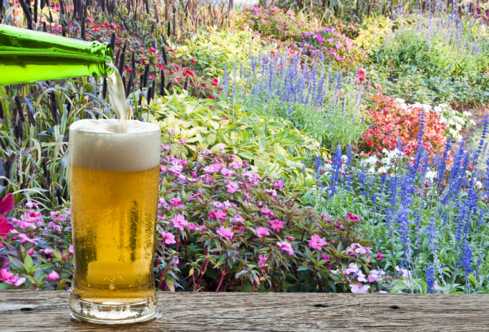 Pivo je pro zahradu poklad