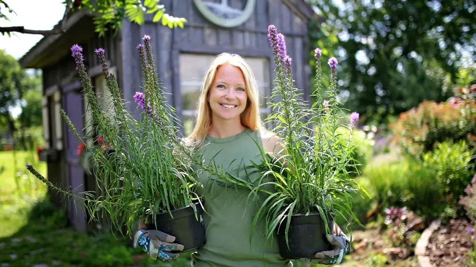 Některé druhy trvalek lze pěstovat v nádobách Některé druhy trvalek lze pěstovat v nádobách