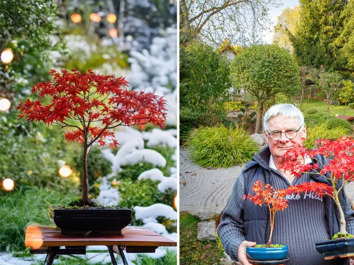 Co ještě stihnout na zahradě, než udeří mráz? Dechberoucí japonská zahrada
