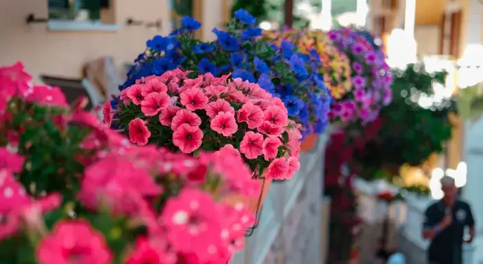 Balkon pro alergiky  Balkon pro alergiky