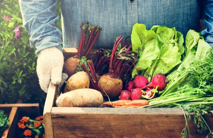 Bohatá a zdravá úroda Bohatá a zdravá úroda