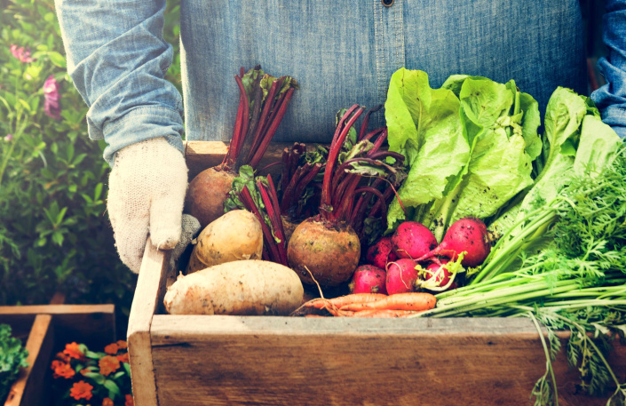 Bohatá a zdravá úroda  Bohatá a zdravá úroda