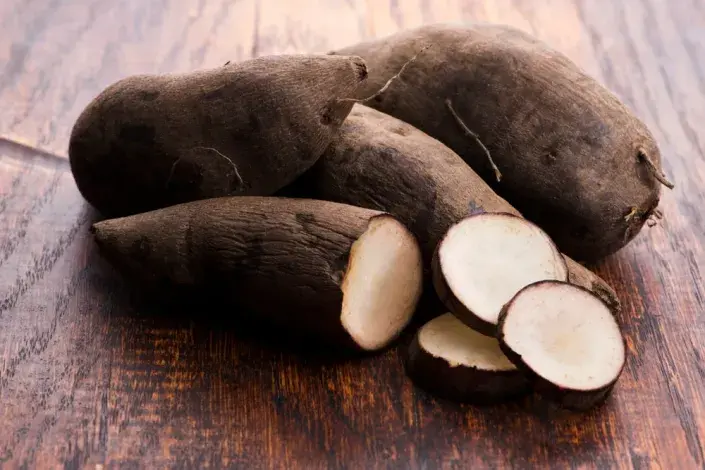 Jakon (Smallanthus sonchifolius)  Jakon (Smallanthus sonchifolius)