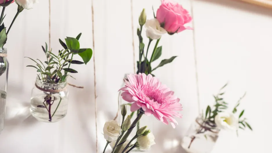 Závěsná množírna Závěsná množírna