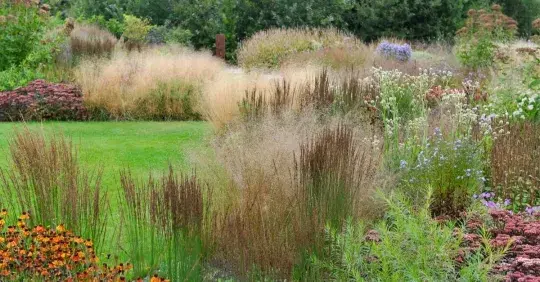 Jak vytvořit zahradu přecházející do krajiny Náhled