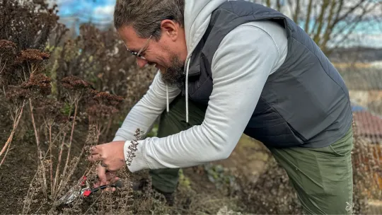 Podzimní střih trvalek Náhled