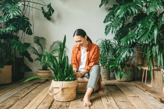 Péče o pokojovky Náhled