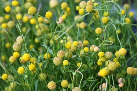 shutterstock2336008775.jpg Thumbnail