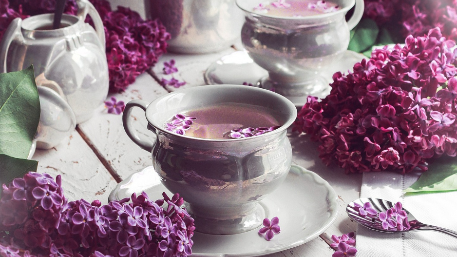 Z květů šeříku si můžete připravit uklidňující čaj