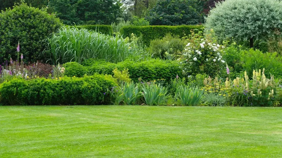 Letní trávník  Letní trávník