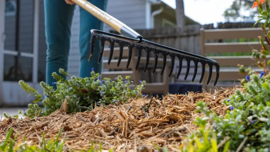 Mulčování  Mulčování